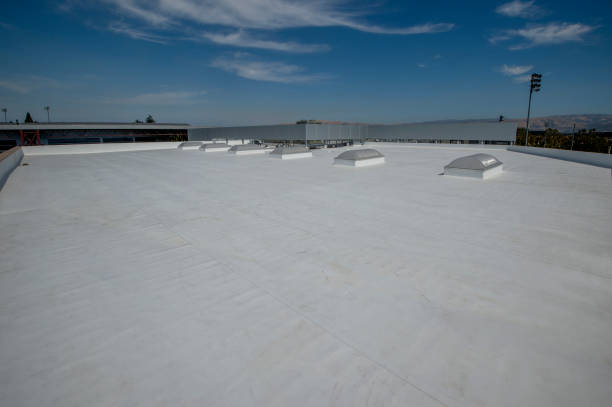 Best Roof Insulation Installation  in Newton, IL