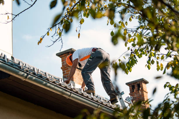 Best Flat Roofing  in Newton, IL