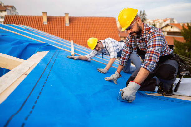 Best Chimney Flashing Repair  in Newton, IL