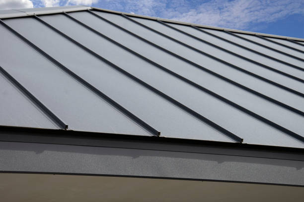 Best Roof Maintenance and Cleaning  in Newton, IL